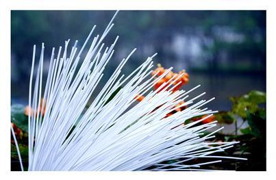 龙八- long8(国际)唯一官方网站