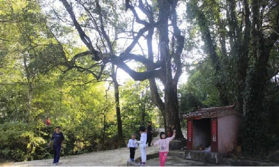 龙八- long8(国际)唯一官方网站