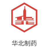 龙八国际相助同伴：东北制药