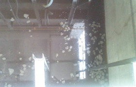 畜禽废水处置惩罚装备结构是怎样的？？？？？？？？三大特点先容！