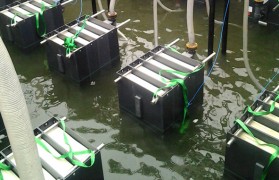 MBR膜能够处置惩罚印染工业废水吗？？？？？？印染工业废水怎样处置惩罚？？？？？？