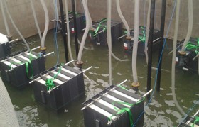 发电厂垃圾渗滤液水质特点是什么？？？？？？？