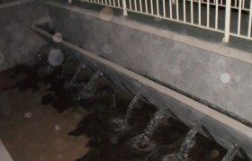 工业废水零排放有什么利益?意义大吗？？？？？？？？