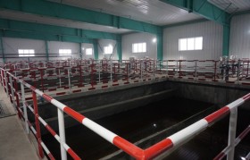 无机超滤膜有何优势？？？？？？？使用注重事项有哪些?