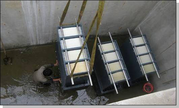 养殖污水处置惩罚一体化装备整理效率影响因素有哪些？？？？？？？？